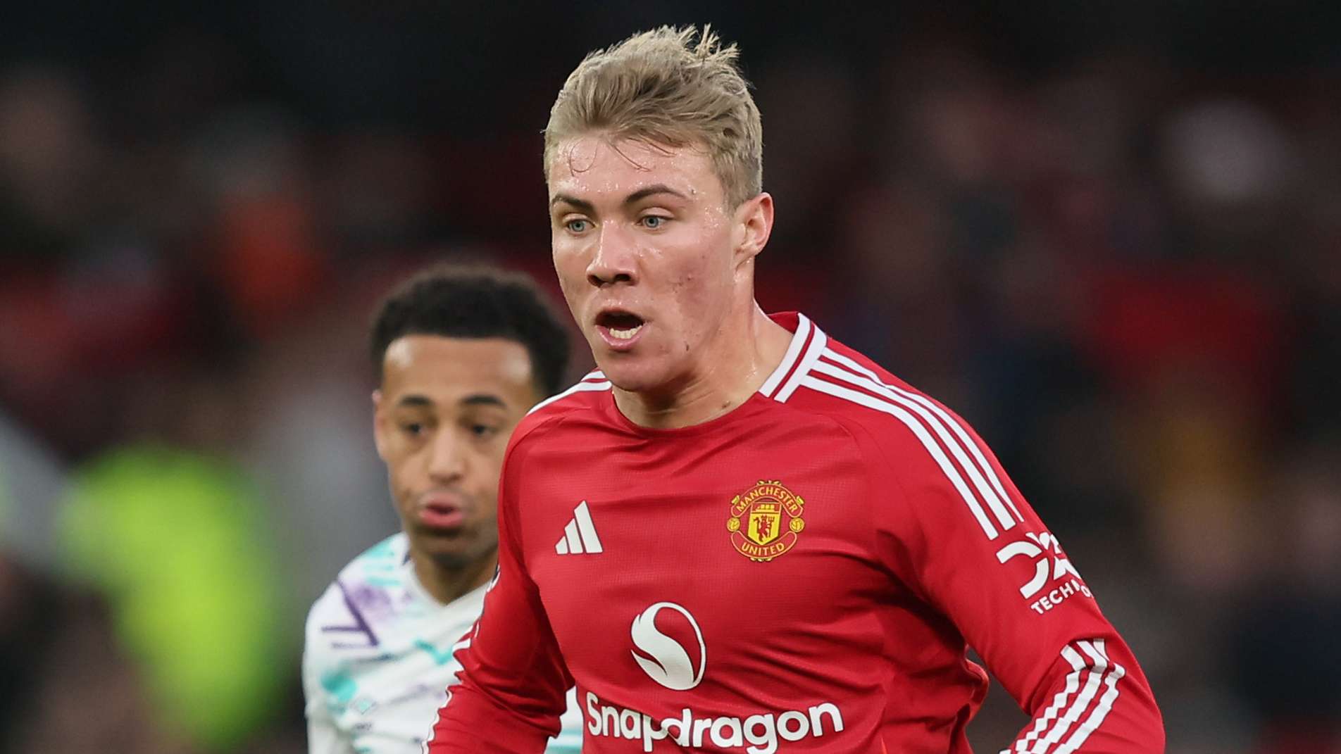 我们看到了 我们看到了